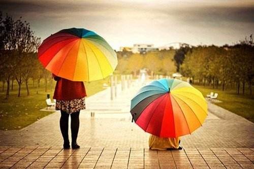 雨傘"