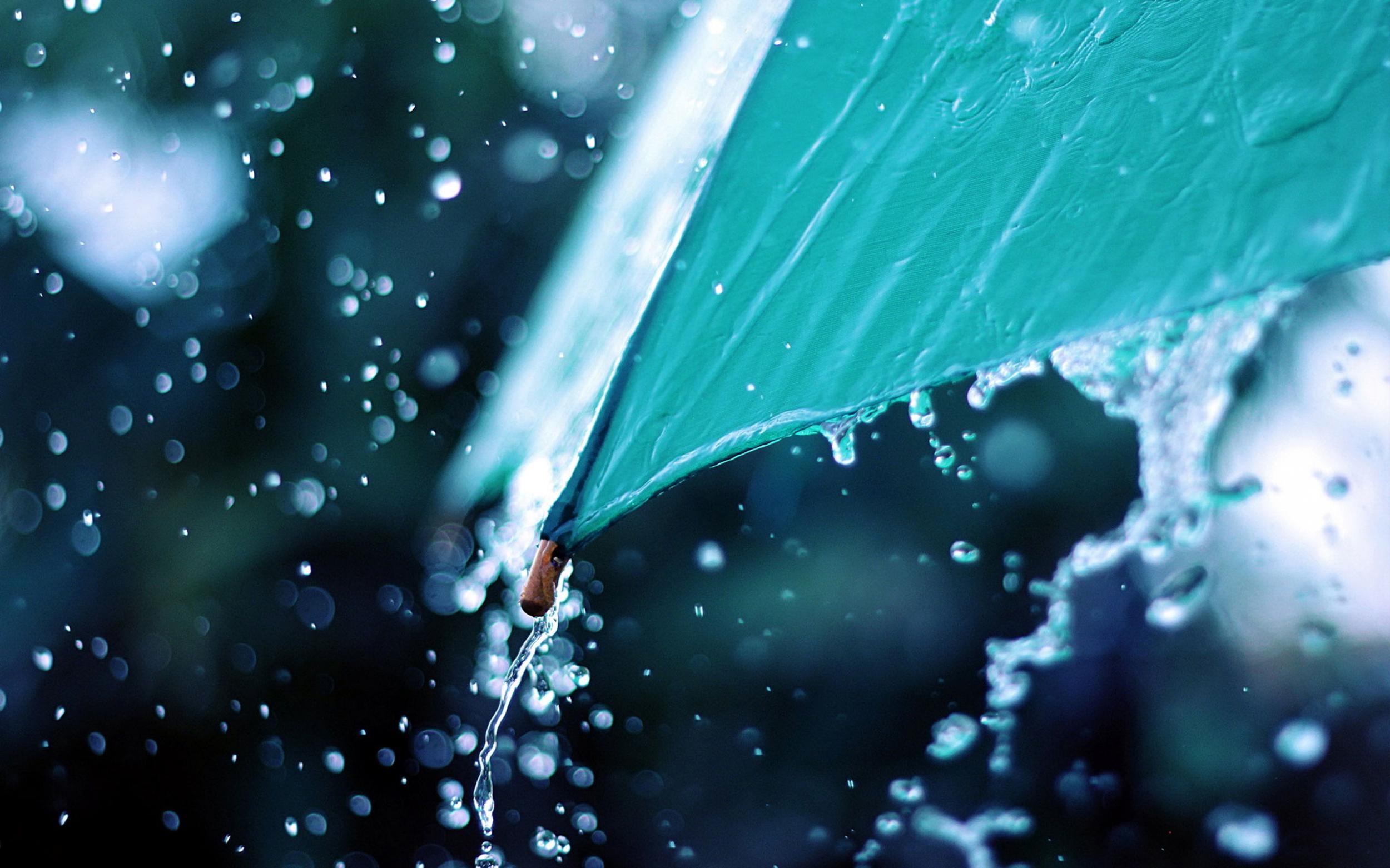 雨傘"