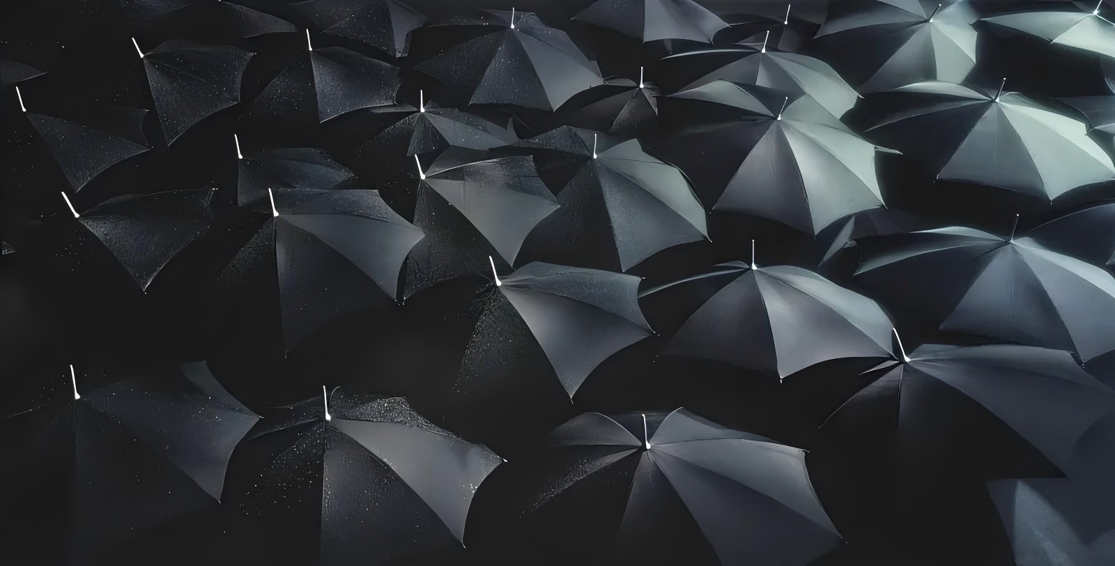 很多雨傘.jpg